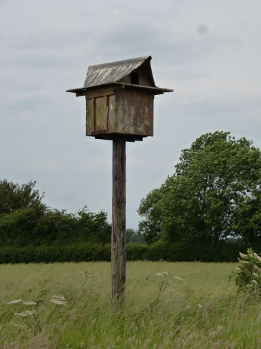 A well used barn owl box on our farm. Constructed by Edward Cooke