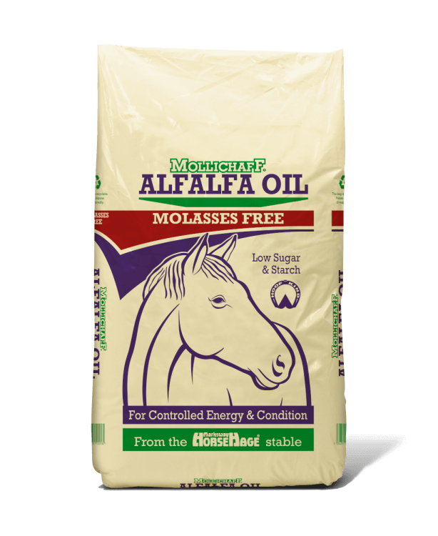 MolliChaff Alfalfa Oil