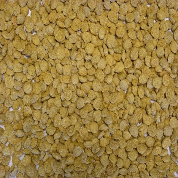 Extruded Wheat Yellow