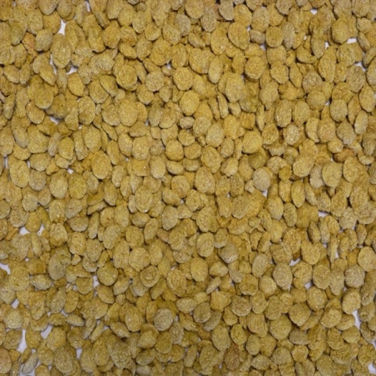 Extruded Wheat Yellow