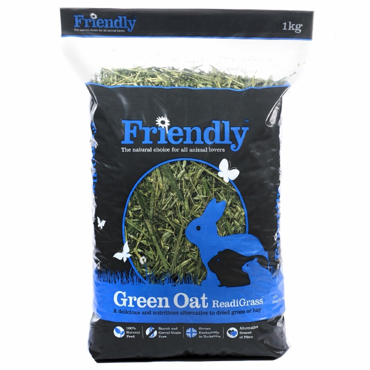 Friendly Green Oat ReadiGrass