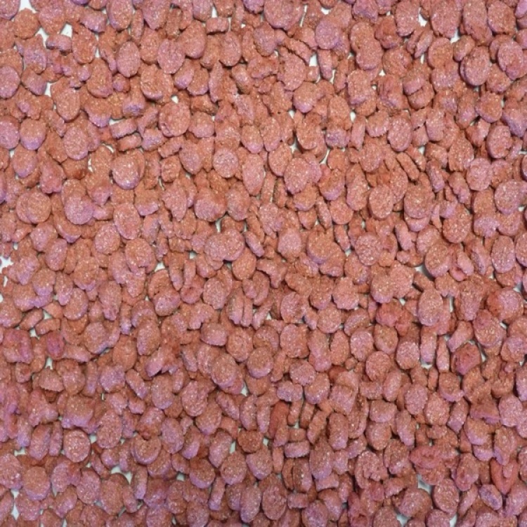 Extruded Wheat Orange