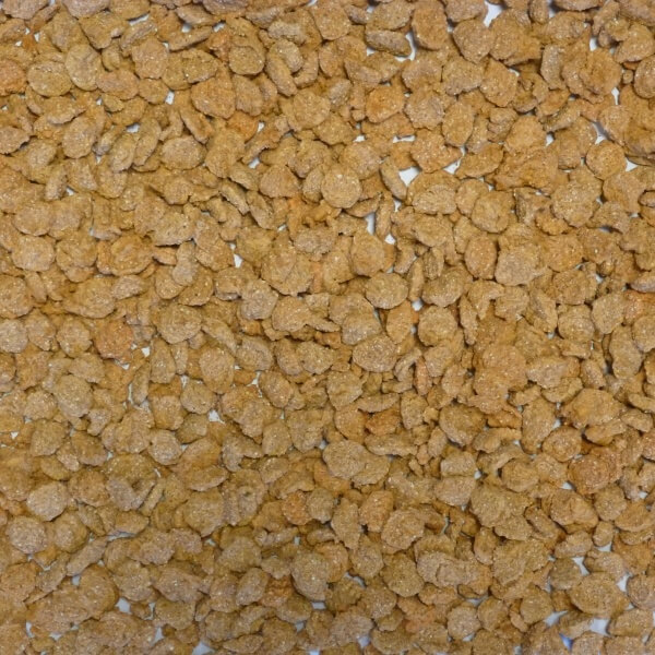 Extruded Wheat Orange