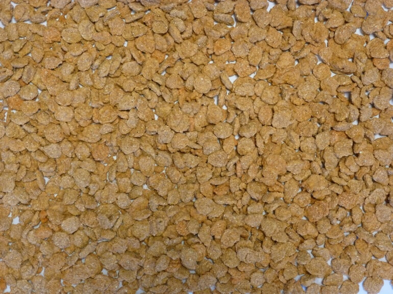 Extruded Wheat Orange