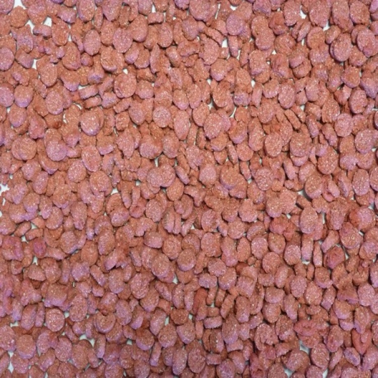 Extruded Wheat with Beetroot