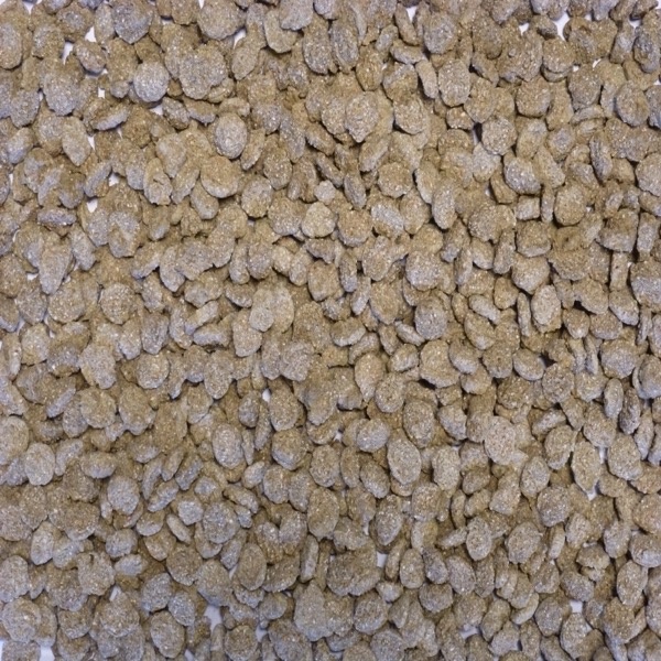 Extruded Wheat Plain