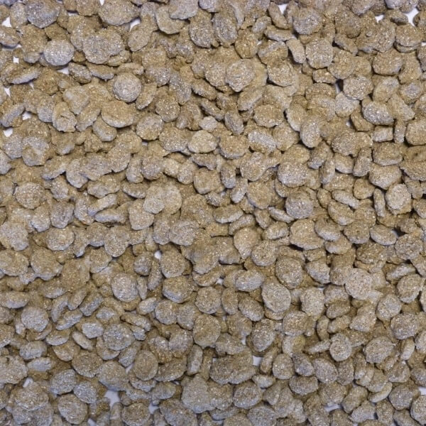 Extruded Wheat with Lucerne