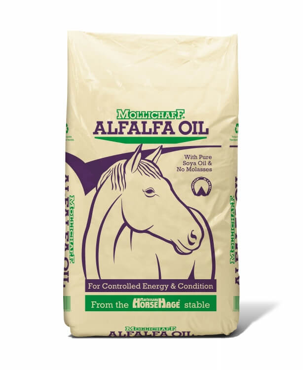 MolliChaff Alfalfa Oil