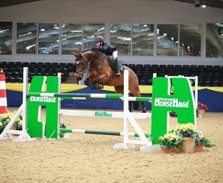 Have you spotted our HorseHage showjump?