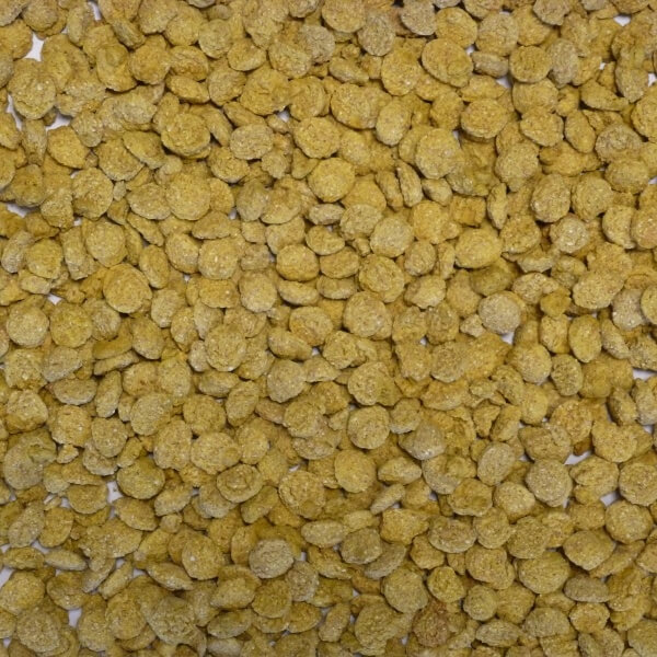 Extruded Wheat Yellow