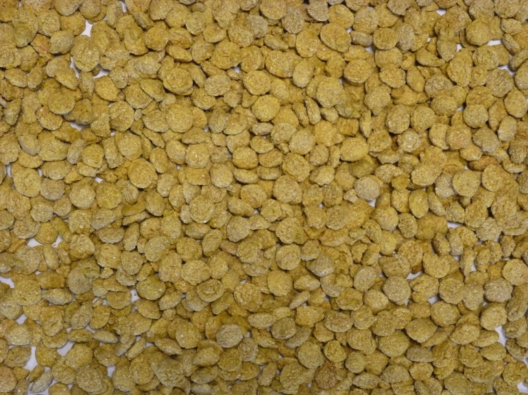 Extruded Wheat Yellow
