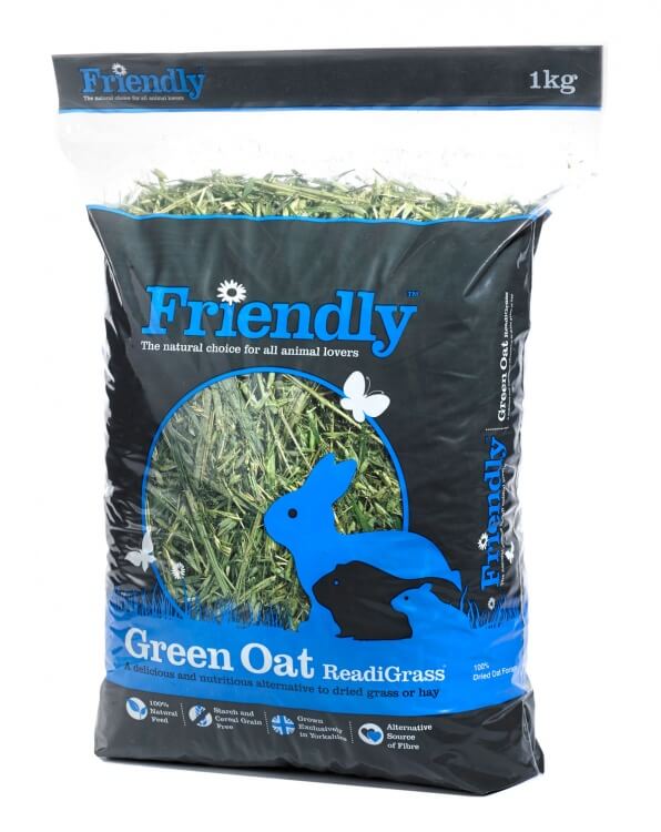 Friendly Green Oat ReadiGrass