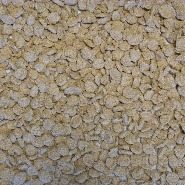 Extruded Wheat Plain