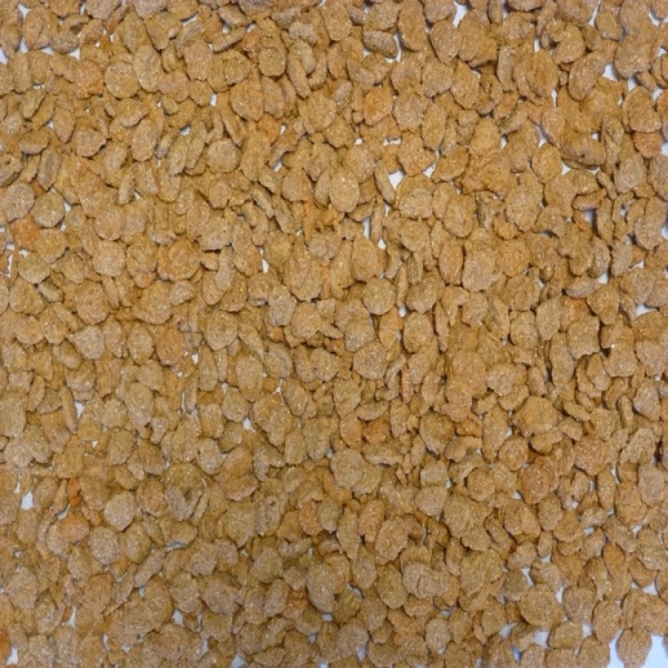 Extruded Wheat with Lucerne