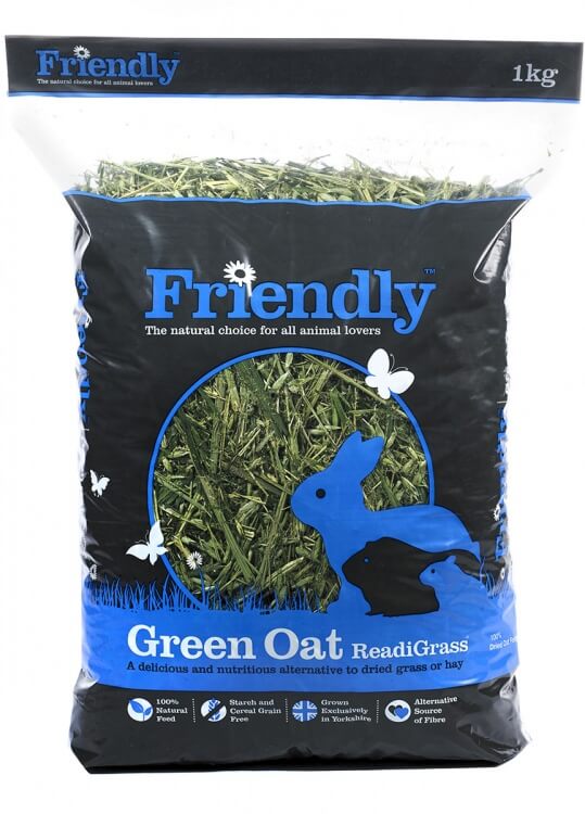 Friendly Green Oat ReadiGrass